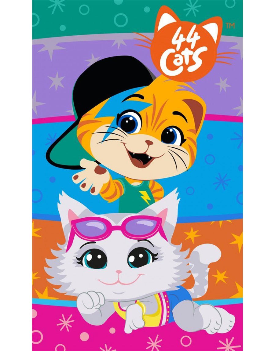 ΠΕΤΣΕΤΑ DISNEY 44 CATS 09 30X50 Digital Print