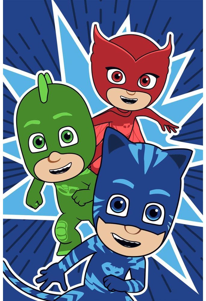 ΠΕΤΣΕΤΑ DISNEY PJ MASKS 20 40Χ60 Digital Print